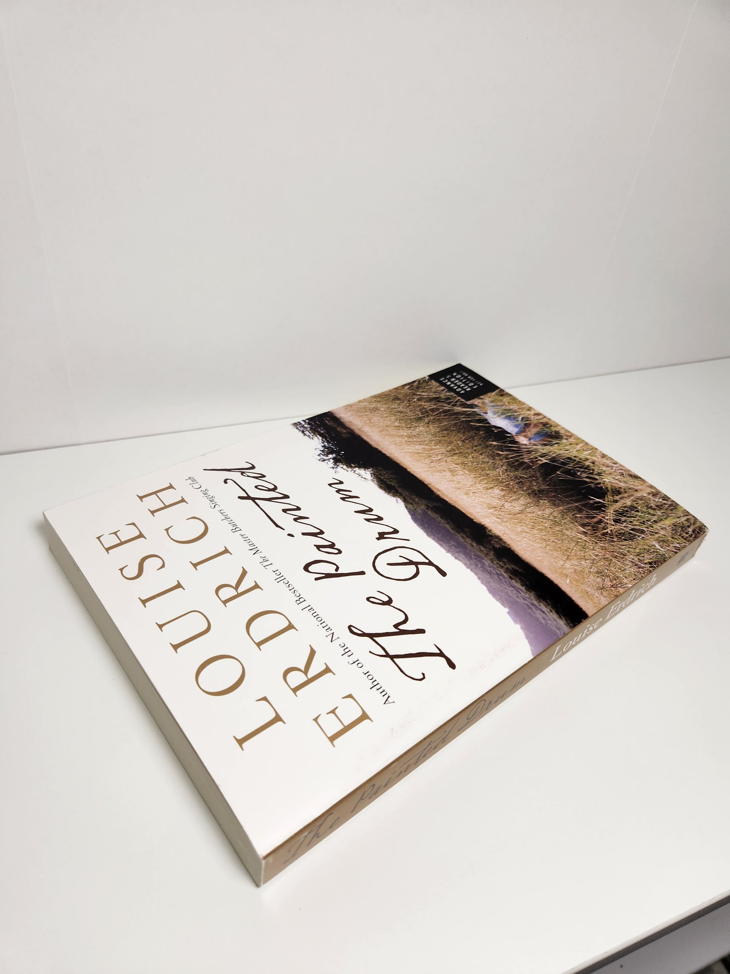 The Painted Drum (Advance Reader's Edition)