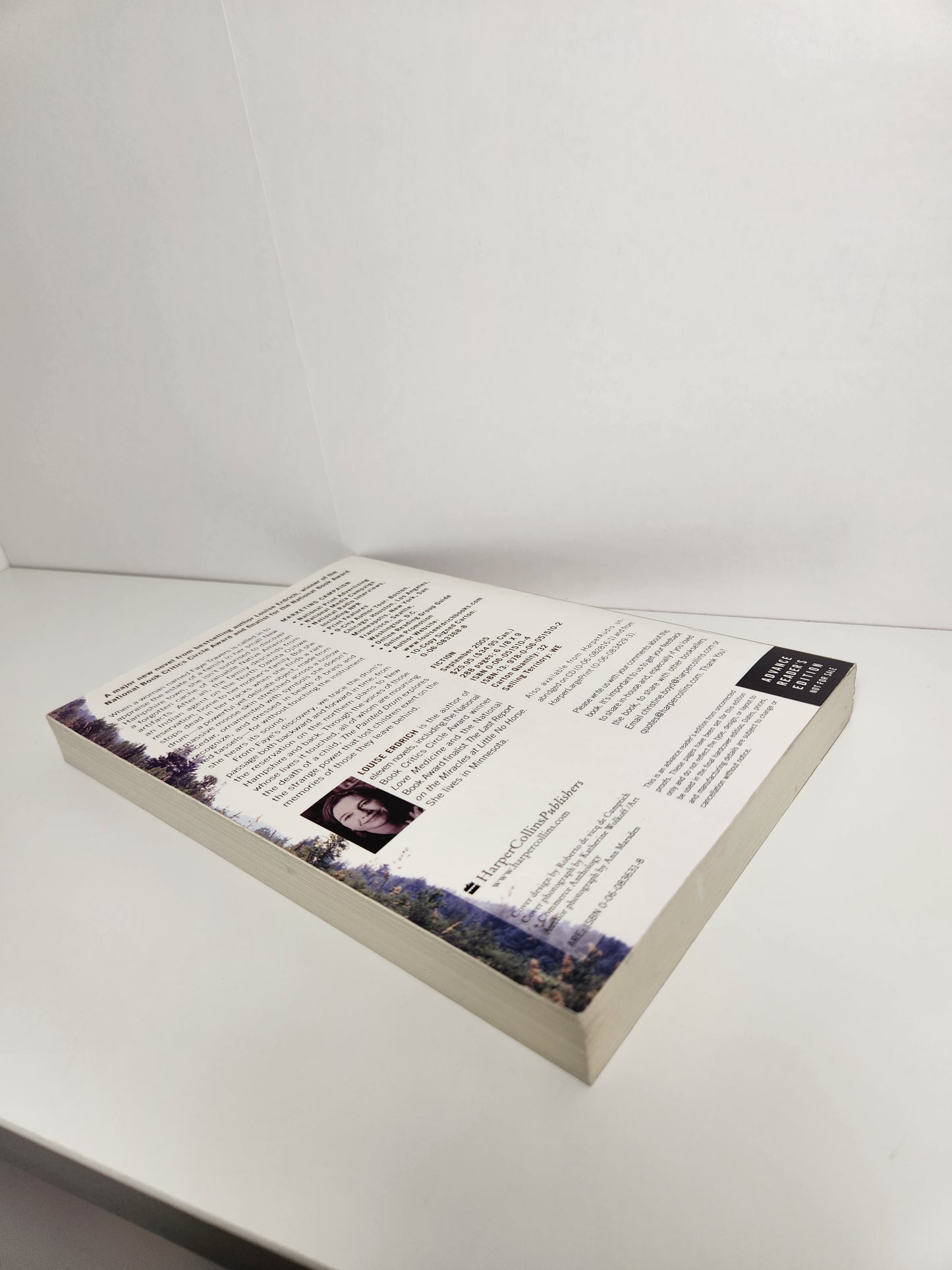 The Painted Drum (Advance Reader's Edition)