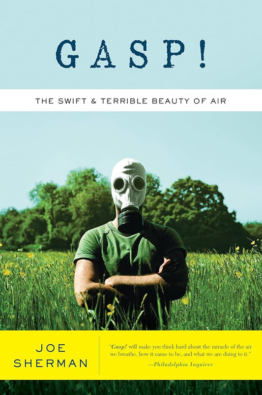 Gasp!: The Swift and Terrible Beauty of Air cover image